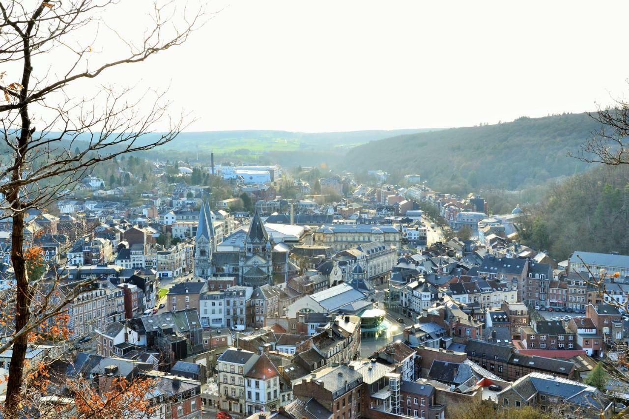 Au Bobeli'Nid - Gite Citadin Au Coeur De Spa Buitenkant foto